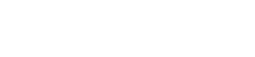  Logo Basketdocs - Deutsche Basketballärzte e. V.