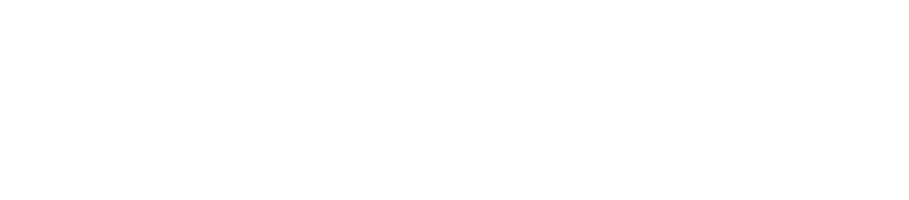  Logo OLS Offene Liste, Schönbrunn