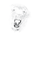 Logo Die Schleicher Akademie, Kronach, bietet Personenschutz-Ausbildung mit Praxis!